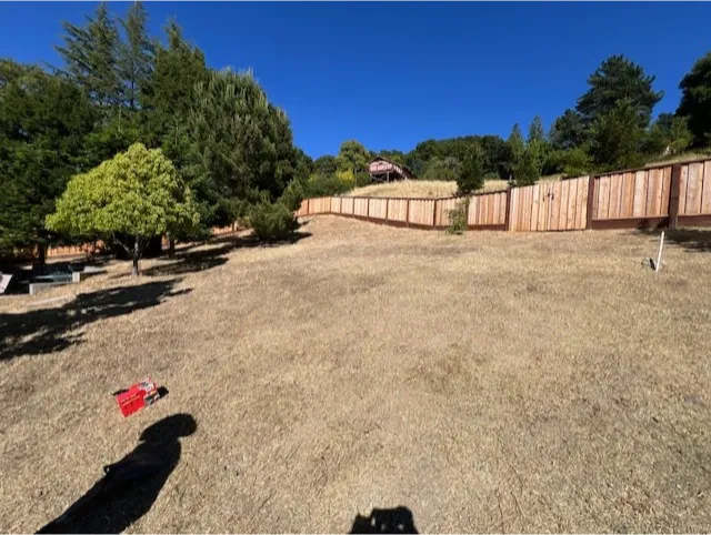 american-brush-4 A dry, grassy yard with scattered trees, a wooden fence, and clear blue sky on a sunny day.