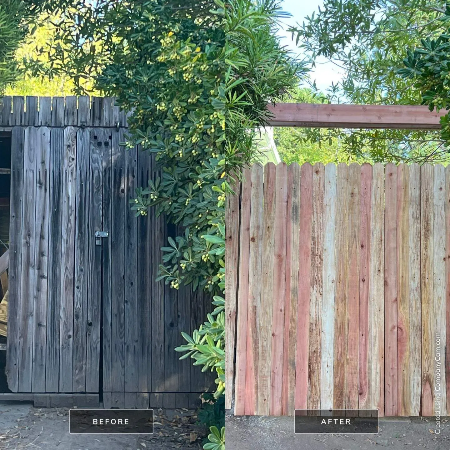 construction-6 Side-by-side of old, weathered wood fence (left) and new, lighter wood fence (right); labeled "before" and "after.