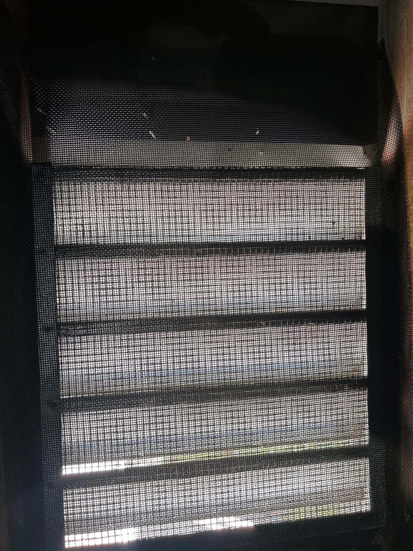 hardening-experts-1 A mesh screen covers a window with horizontal slats, letting in light from outside.