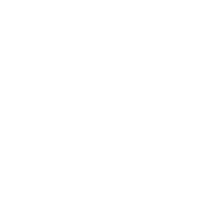 brp-construction Pixelated black and white image of a bison standing on a flat surface, depicted in a retro style.